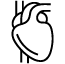 Cuore e vasi